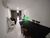 Apartamento, 2 quartos, 55 m² - Foto 29