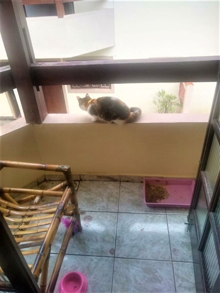 Sobrado, 2 quartos, 80 m² - Foto 9