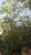 Terreno, 360 m² - Foto 3