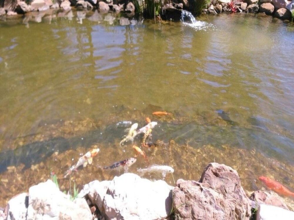 Chácara, 4 quartos, 7000 m² - Foto 28