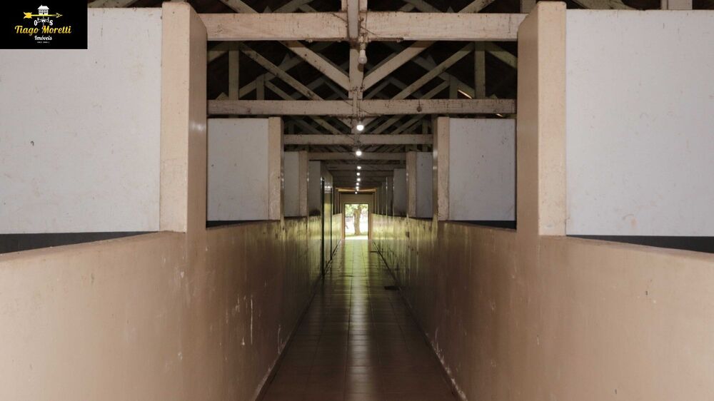 Fazenda, 125 m² - Foto 23