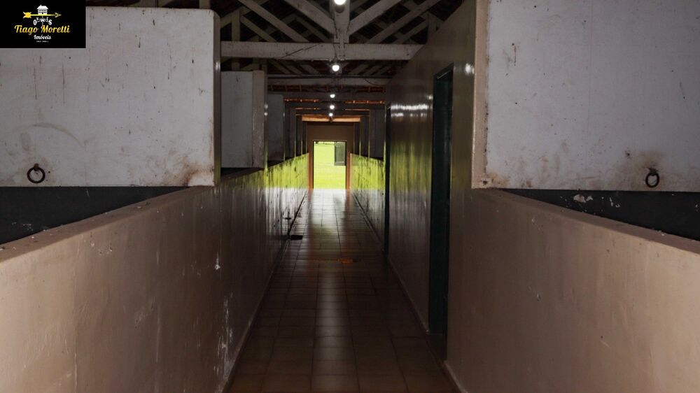 Fazenda, 125 m² - Foto 21