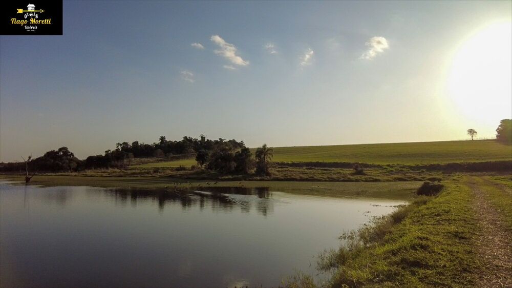 Fazenda, 125 m² - Foto 35