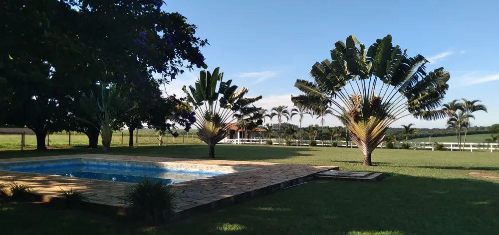 Chácara, 3 hectares - Foto 4
