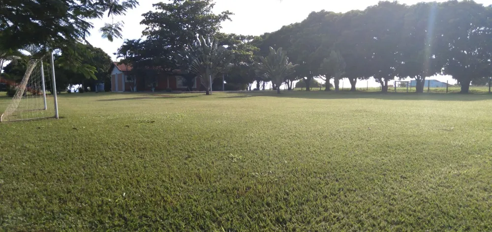 Chácara, 3 hectares - Foto 12
