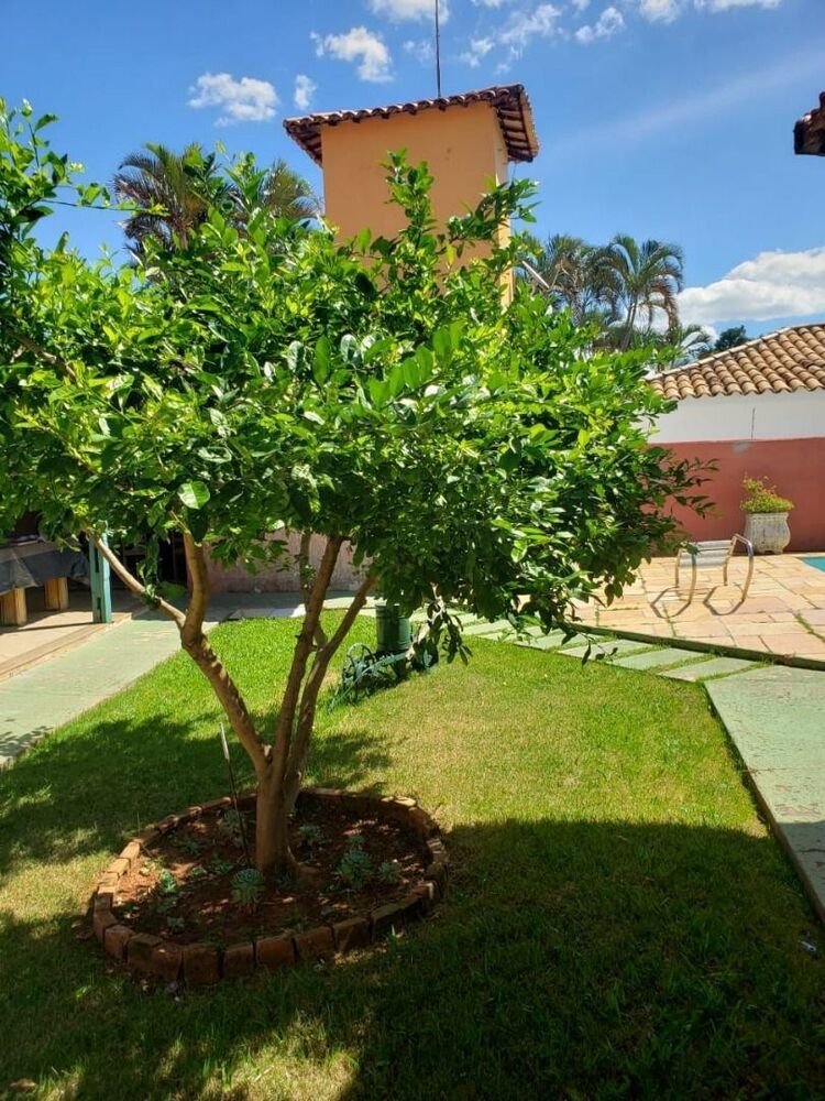 Casa à venda com 3 quartos, 713m² - Foto 27