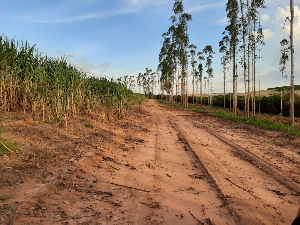 Fazenda, 118 hectares - Foto 7