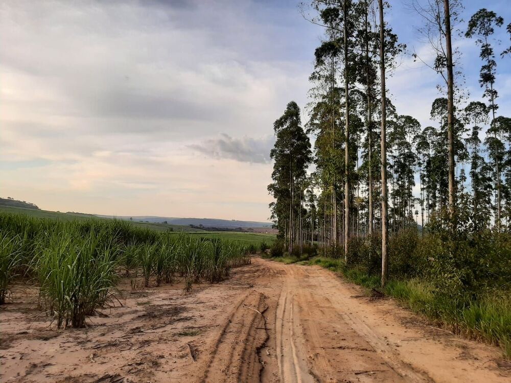 Fazenda, 118 hectares - Foto 14