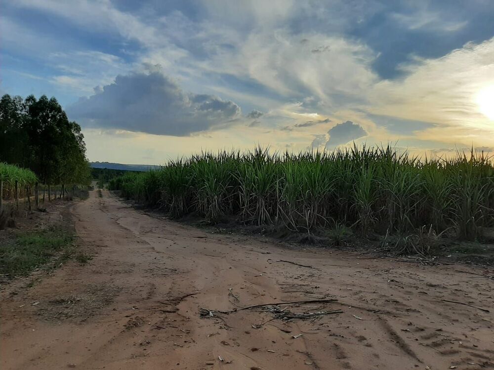 Fazenda, 118 hectares - Foto 1