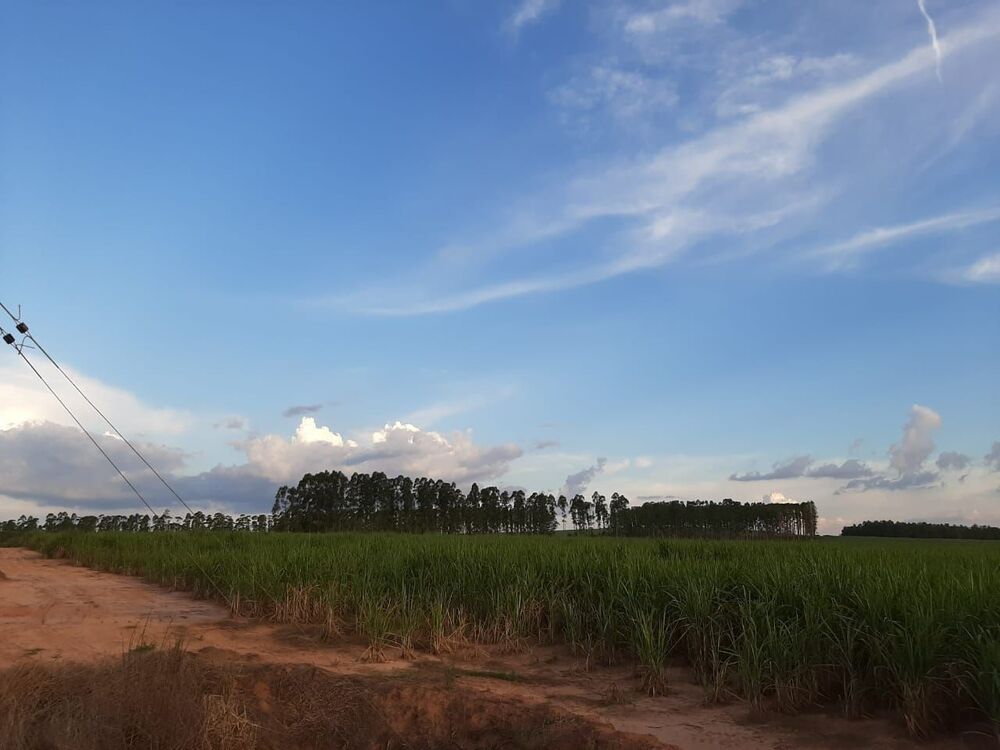 Fazenda, 118 hectares - Foto 16