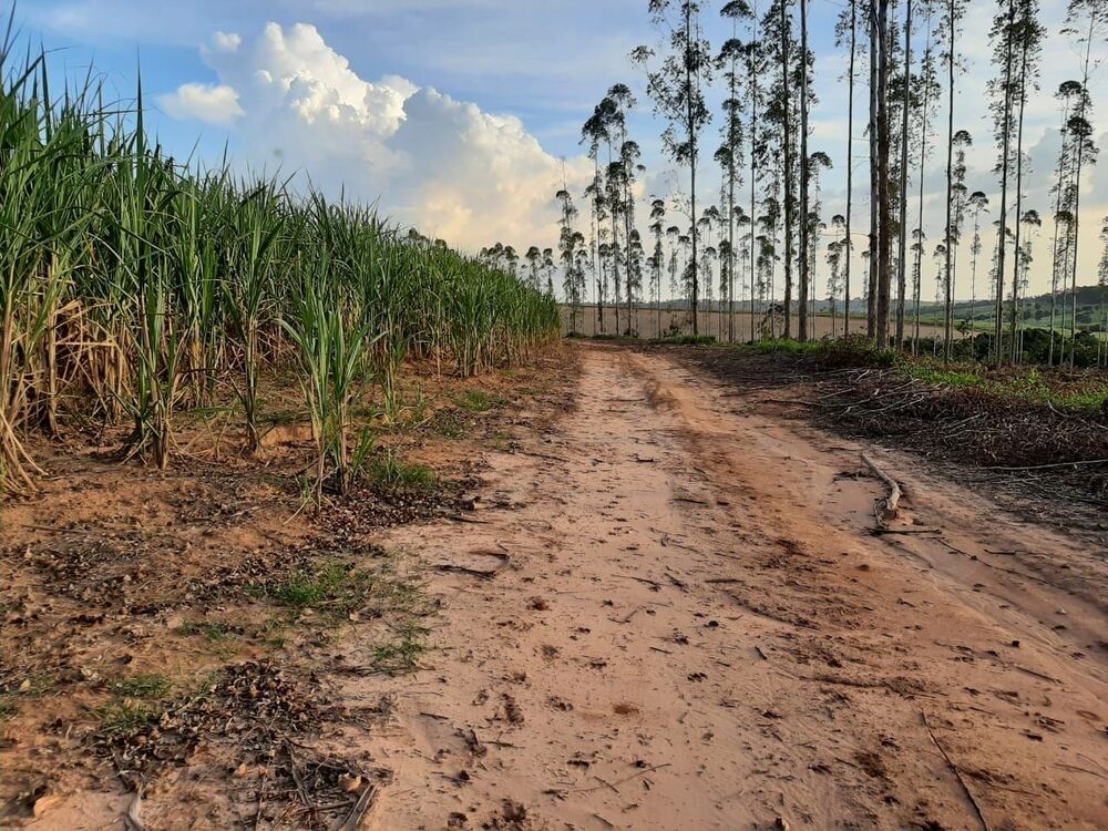 Fazenda, 118 hectares - Foto 8