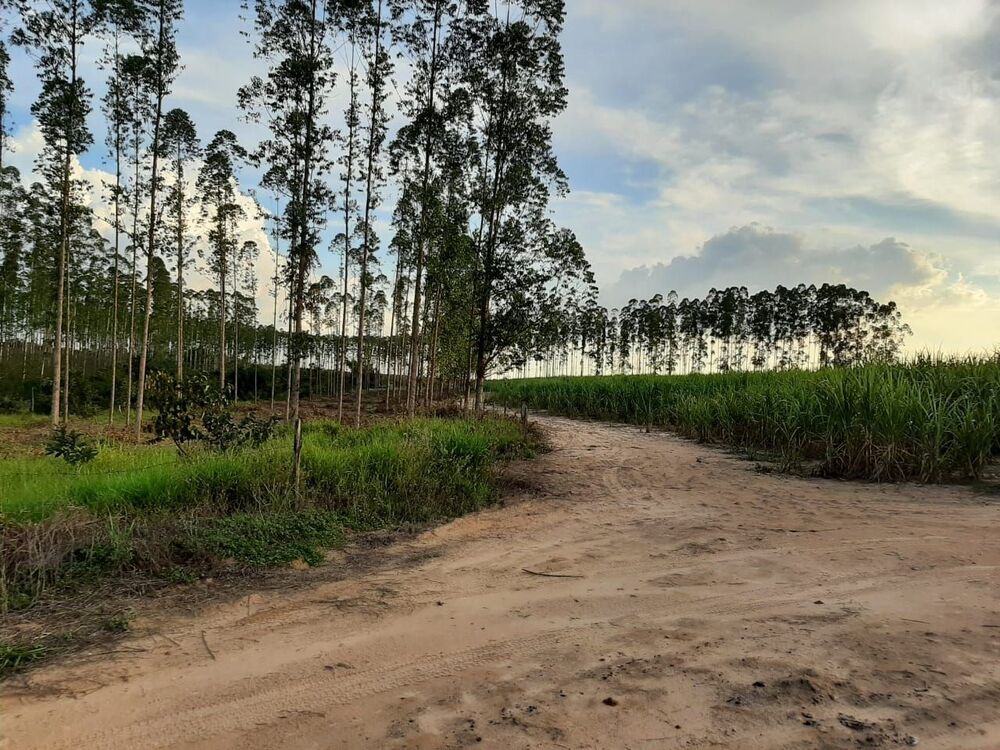 Fazenda, 118 hectares - Foto 11