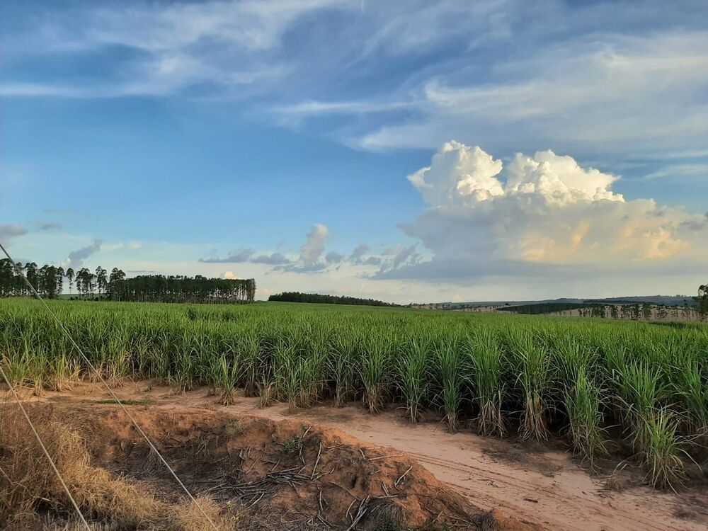Fazenda, 118 hectares - Foto 10
