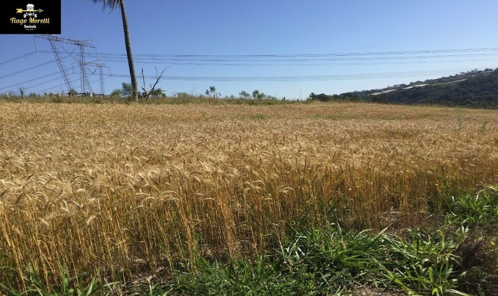 Fazenda, 67 m² - Foto 36