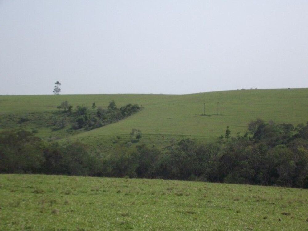 Fazenda, 67 m² - Foto 6