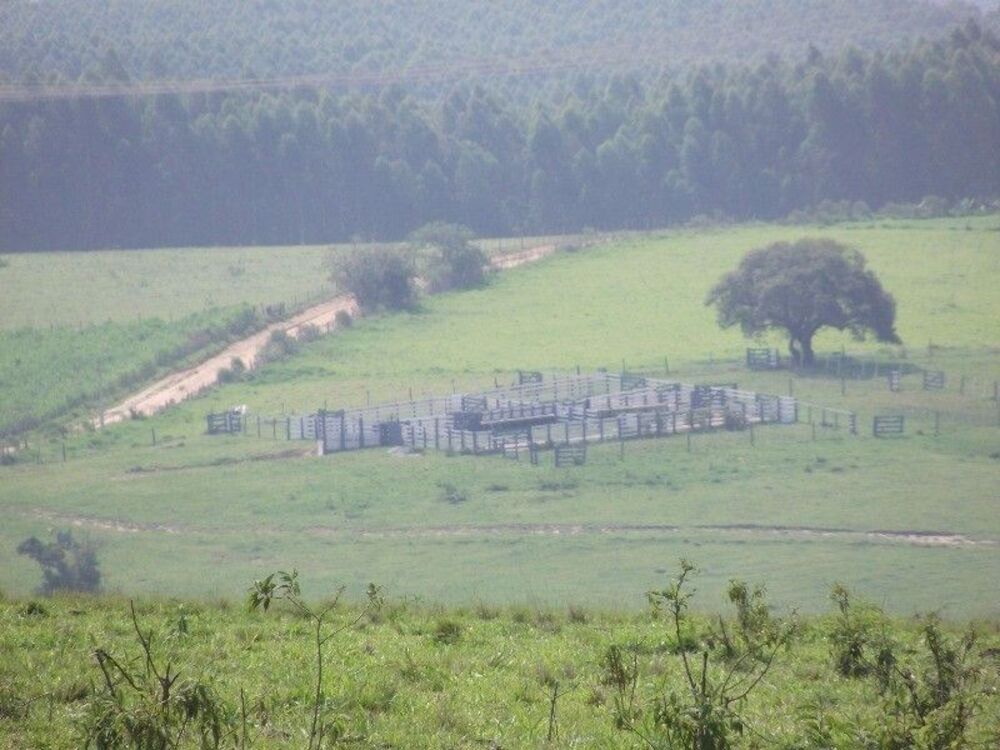 Fazenda, 67 m² - Foto 13