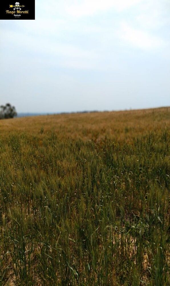 Fazenda, 67 m² - Foto 30