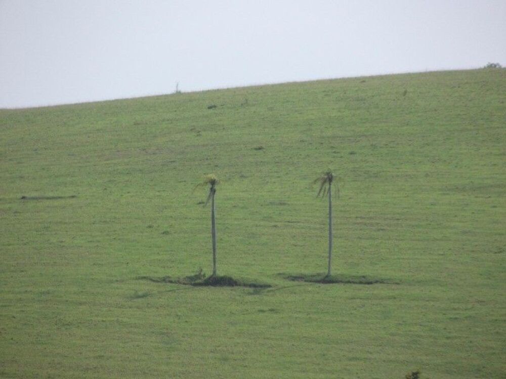 Fazenda, 67 m² - Foto 8