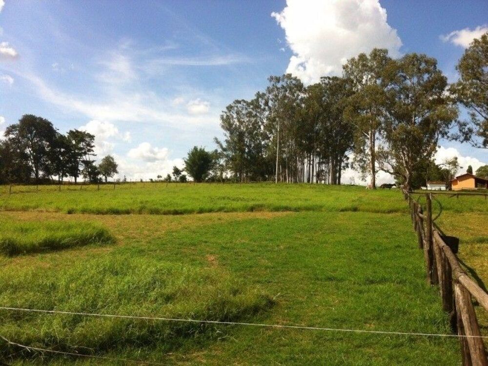 Sítio, 3 quartos, 24 hectares - Foto 6