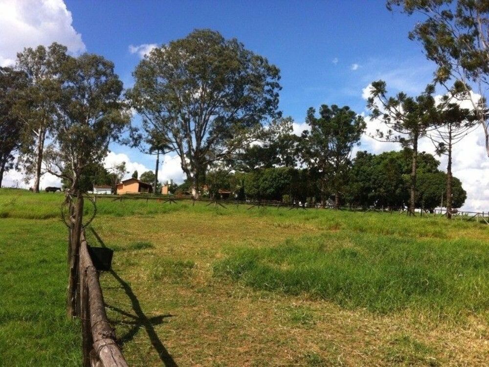 Sítio, 3 quartos, 24 hectares - Foto 7