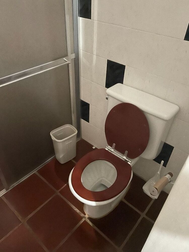 Fazenda, 29 hectares - Foto 5