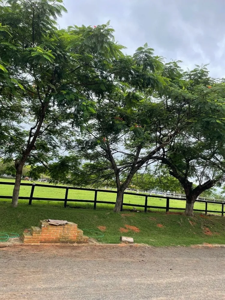 Fazenda, 29 hectares - Foto 6