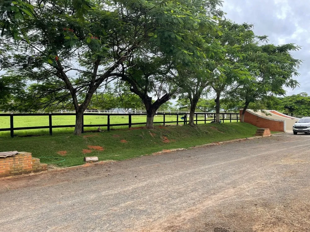 Fazenda, 29 hectares - Foto 5