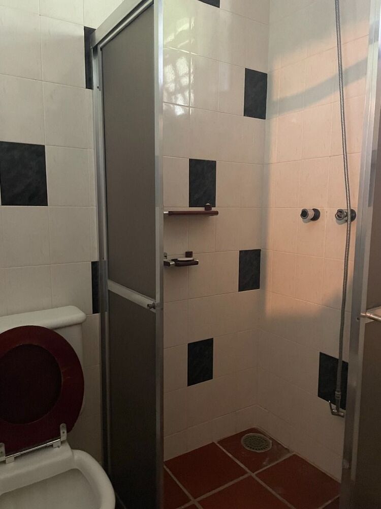 Fazenda, 29 hectares - Foto 7