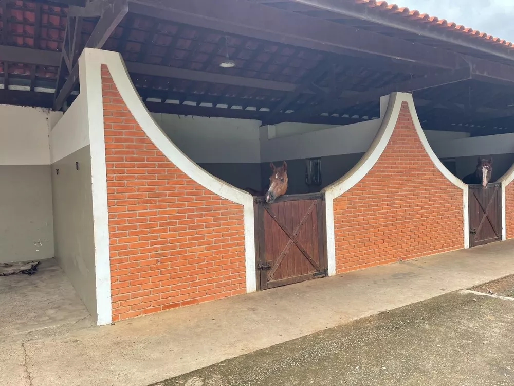 Fazenda, 29 hectares - Foto 11