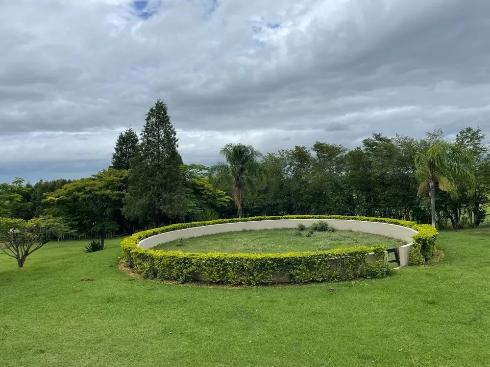 Fazenda, 29 hectares - Foto 8