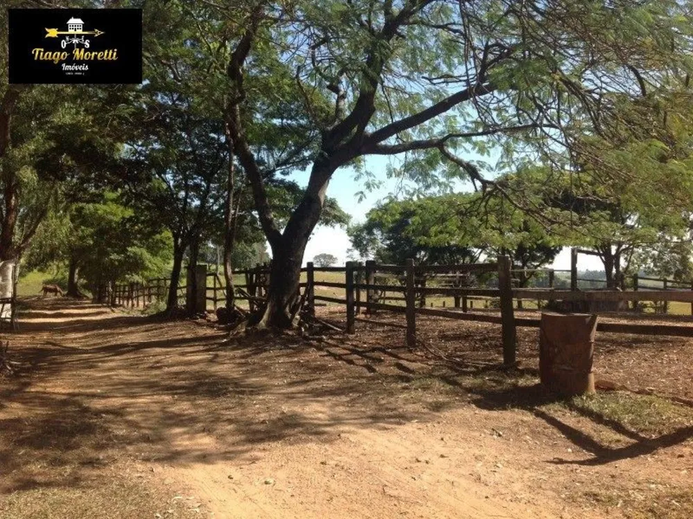 Sítio, 12 quartos, 4 hectares - Foto 14