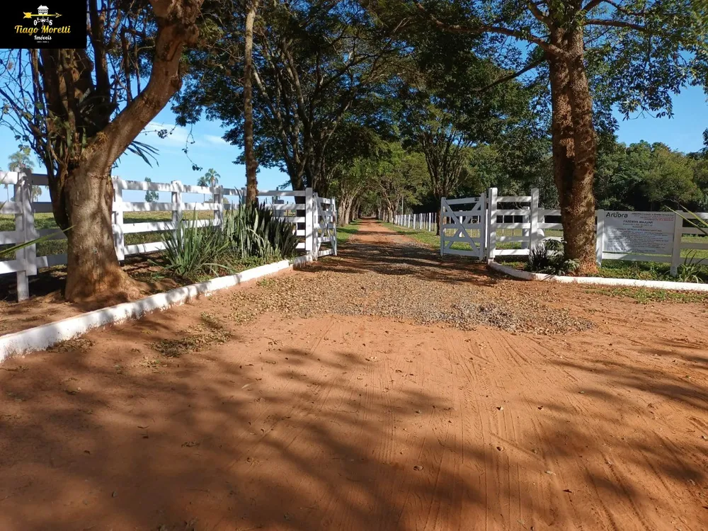 Fazenda, 3 quartos - Foto 12
