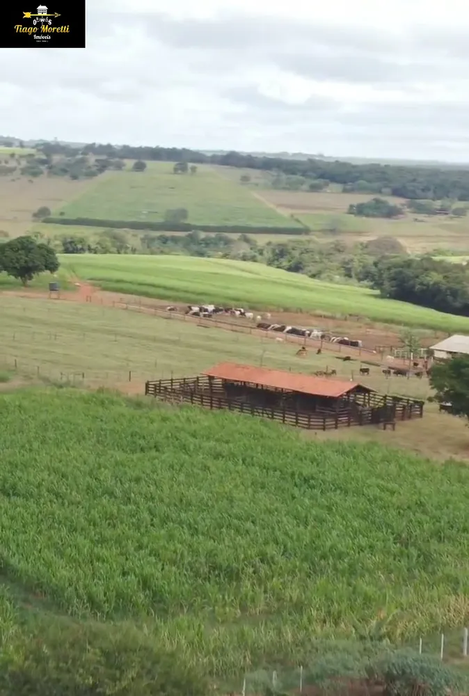Fazenda, 3 quartos - Foto 3