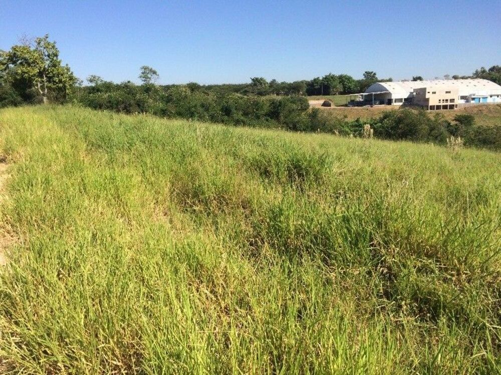 Terreno, 17 hectares - Foto 4