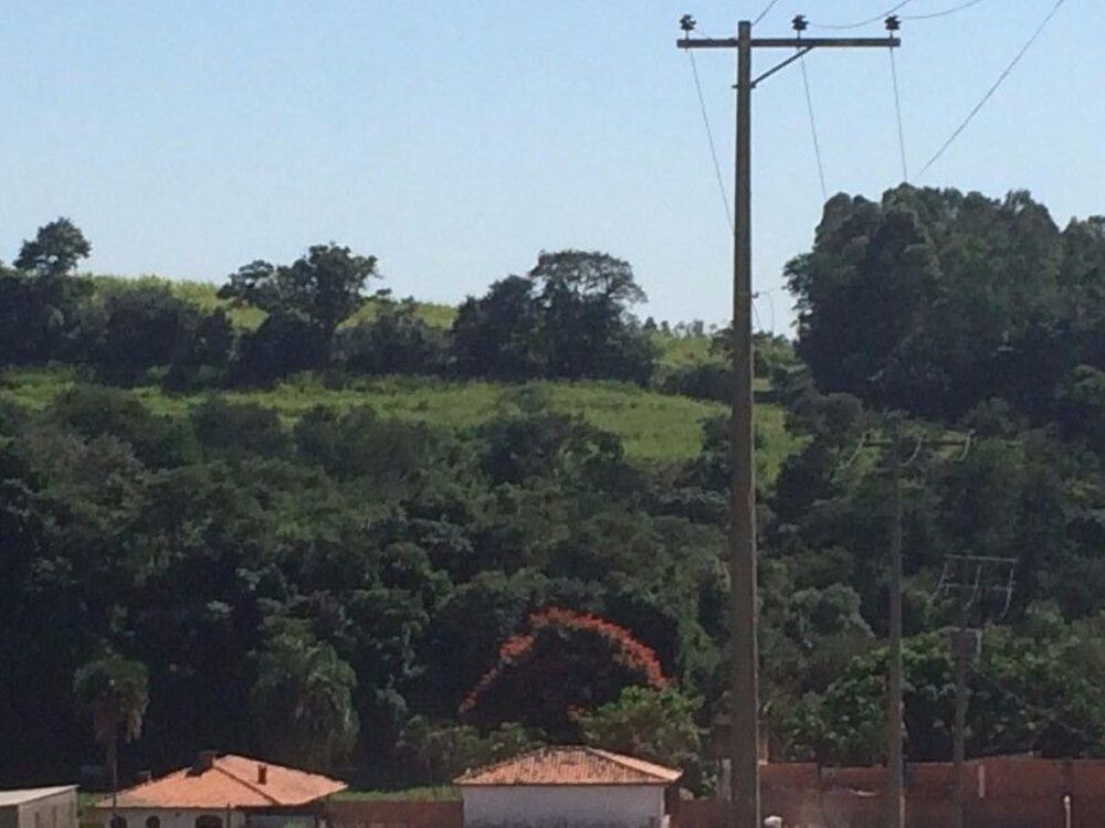 Terreno, 17 hectares - Foto 3