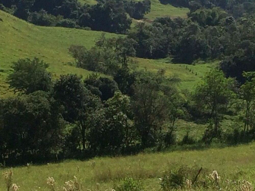 Terreno, 17 hectares - Foto 1