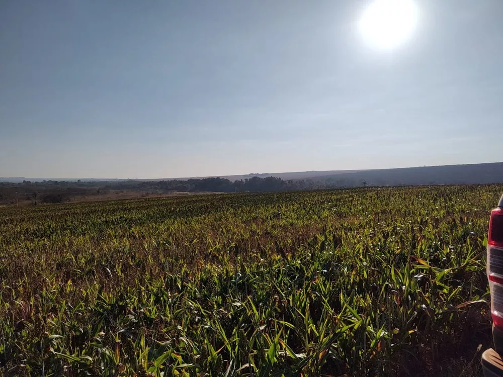 Fazenda, 323 hectares - Foto 6