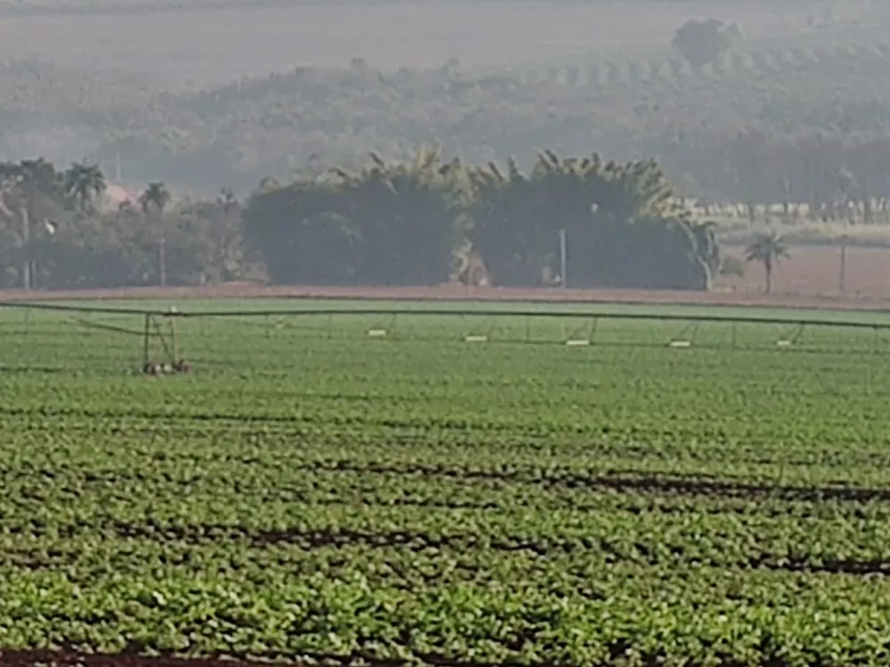 Fazenda, 323 hectares - Foto 4