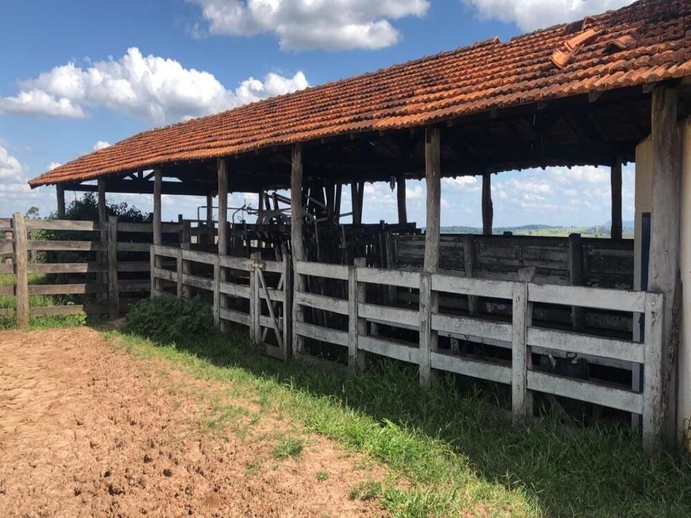Fazenda, 323 hectares - Foto 3
