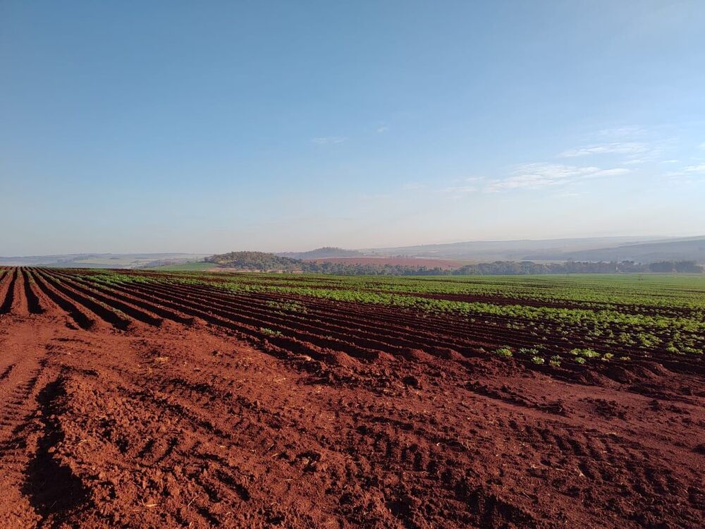 Fazenda, 323 hectares - Foto 1