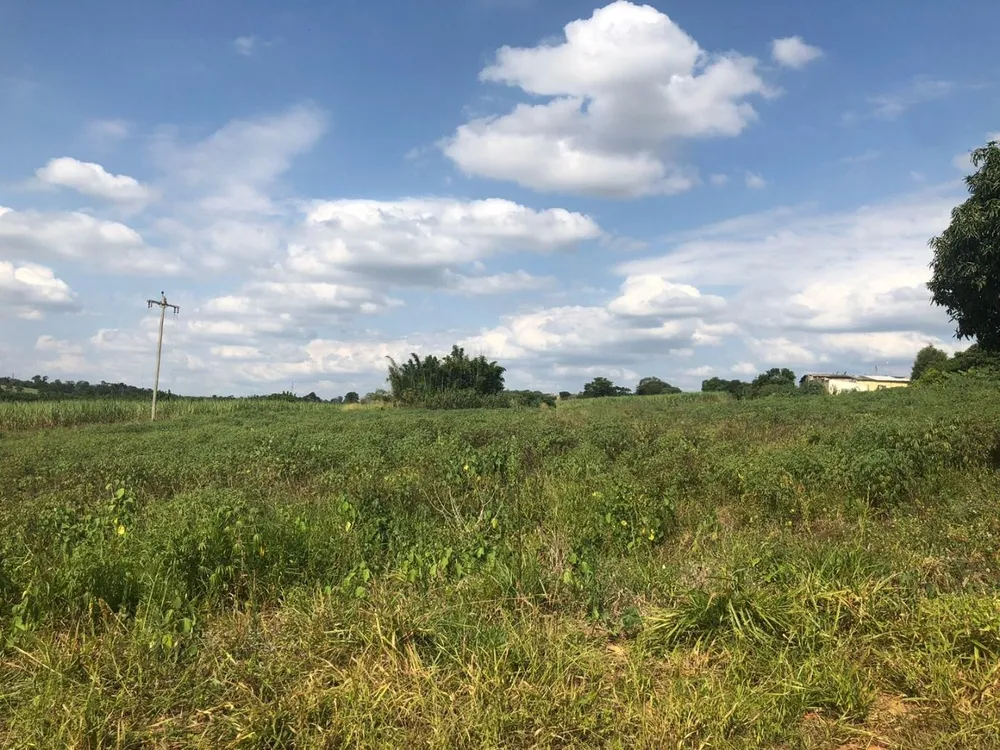 Fazenda, 288 hectares - Foto 4