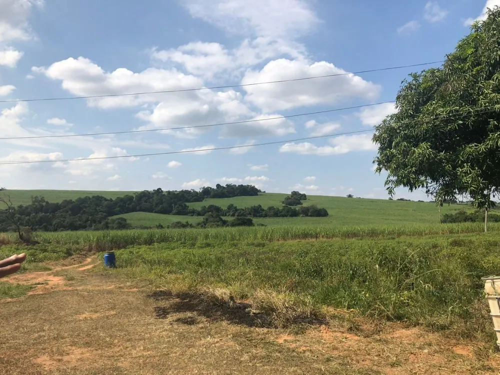 Fazenda, 288 hectares - Foto 3