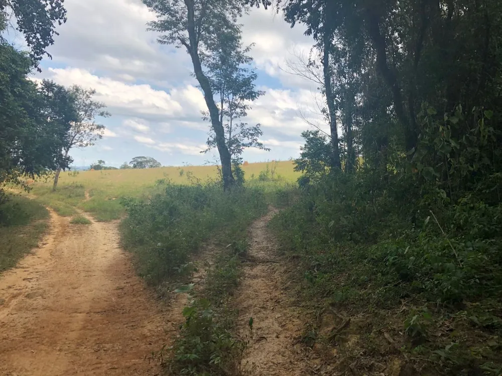 Fazenda, 288 hectares - Foto 5