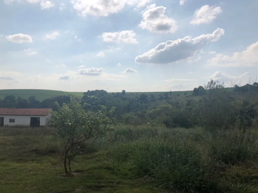 Fazenda, 288 hectares - Foto 2