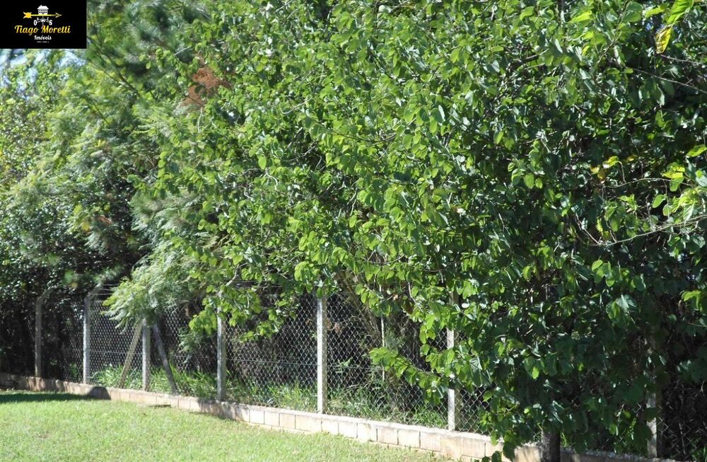 Chácara, 5 quartos - Foto 24