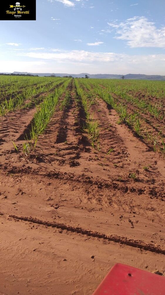 Fazenda à venda - Foto 2