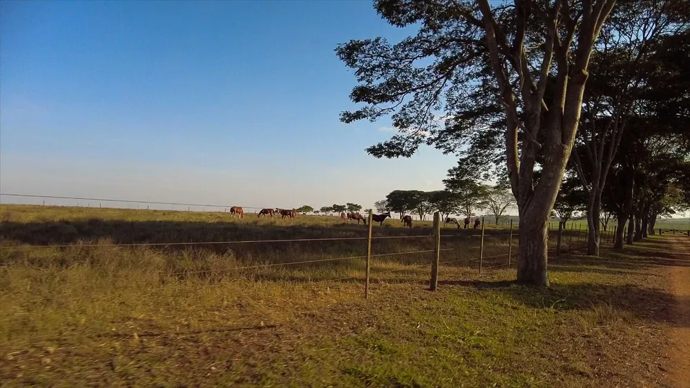 Fazenda, 107 m² - Foto 20