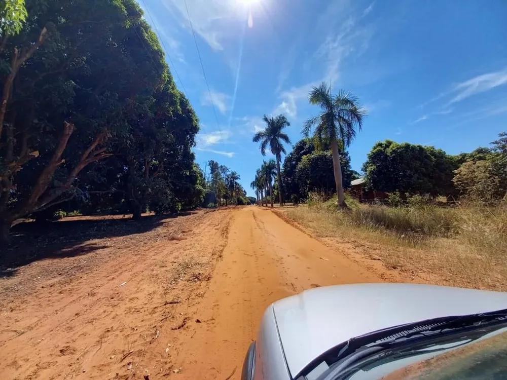 Fazenda, 4392 hectares - Foto 3
