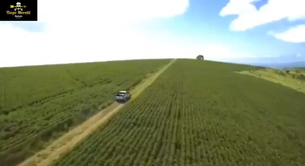 Fazenda, 1238 hectares - Foto 6