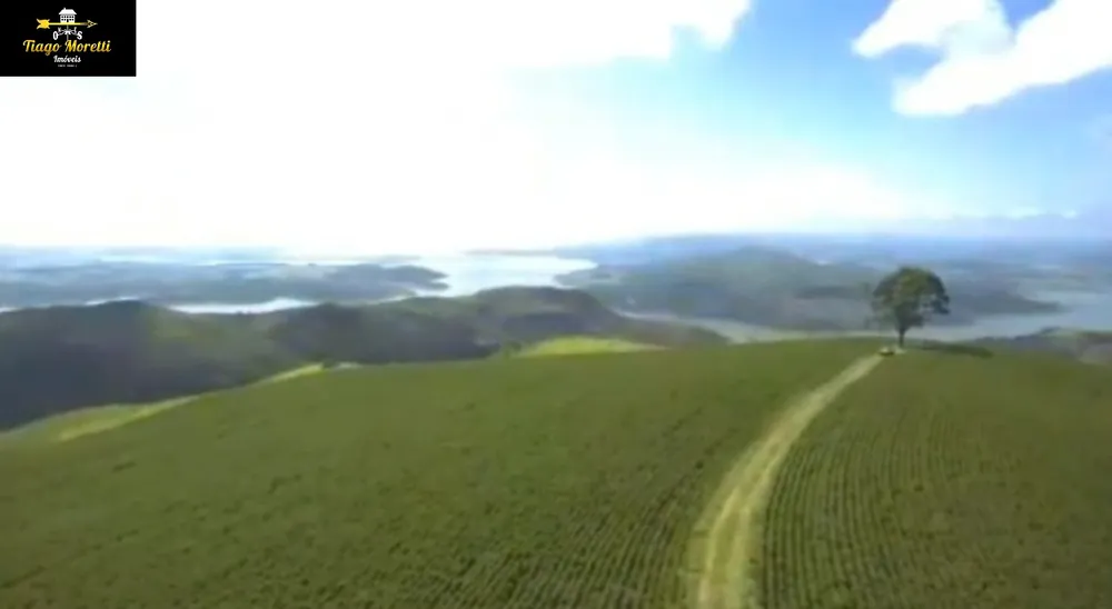 Fazenda, 1238 hectares - Foto 12